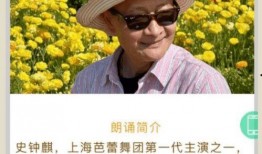 青草视频免费,免费畅享，解锁无限精彩瞬间